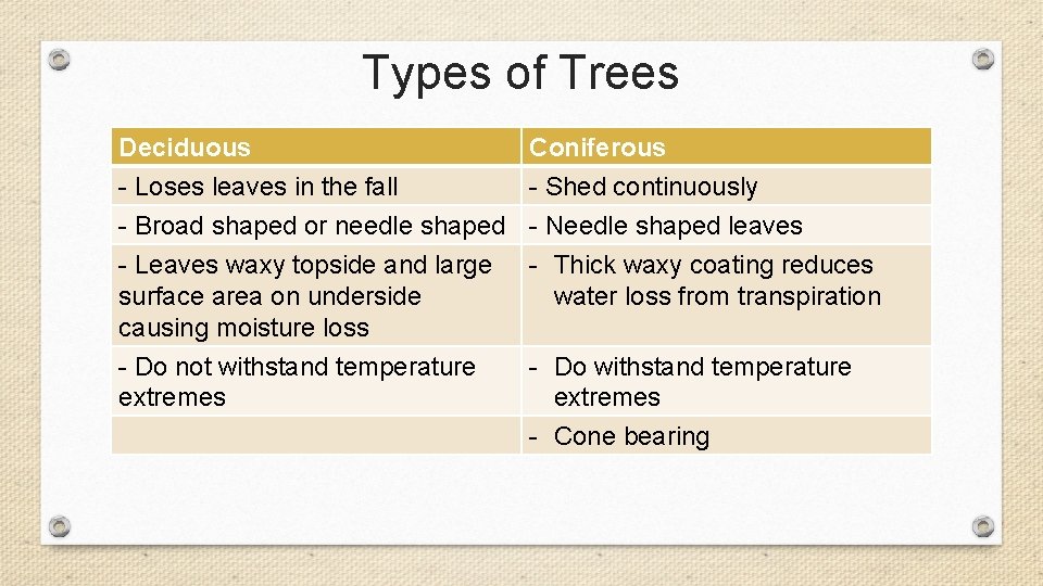 Types of Trees Deciduous - Loses leaves in the fall - Broad shaped or