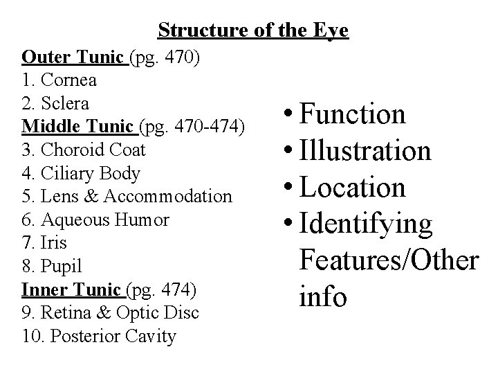 Structure of the Eye Outer Tunic (pg. 470) 1. Cornea 2. Sclera Middle Tunic