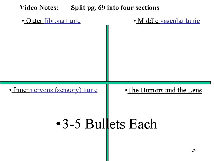 Video Notes: Split pg. 69 into four sections • Outer fibrous tunic • Inner