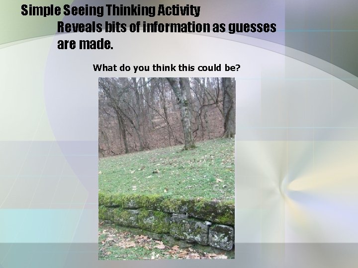 Simple Seeing Thinking Activity Reveals bits of information as guesses are made. What do