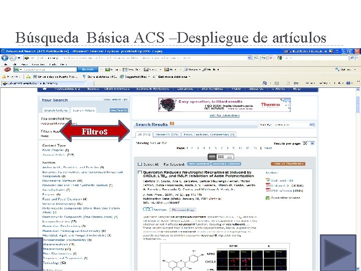 Búsqueda Básica ACS –Despliegue de artículos Filtros 