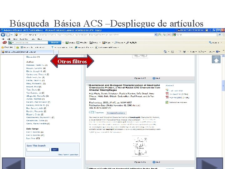 Búsqueda Básica ACS –Despliegue de artículos Otros filtros 