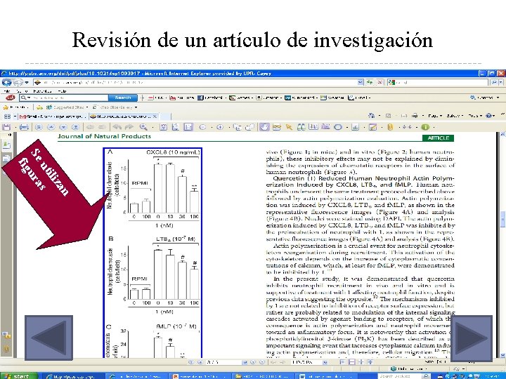 Revisión de un artículo de investigación n za ili ut s Se ura fig