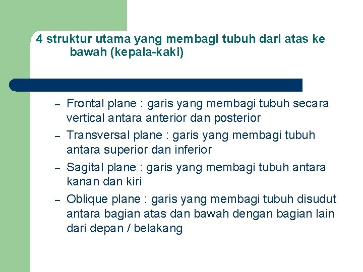 4 struktur utama yang membagi tubuh dari atas ke bawah (kepala-kaki) – – Frontal