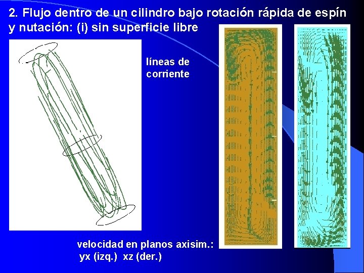 2. Flujo dentro de un cilindro bajo rotación rápida de espín y nutación: (i)