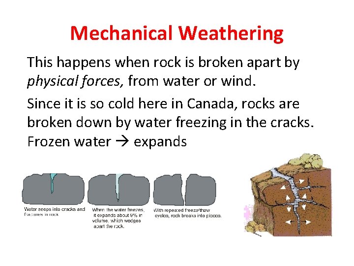 Mechanical Weathering This happens when rock is broken apart by physical forces, from water