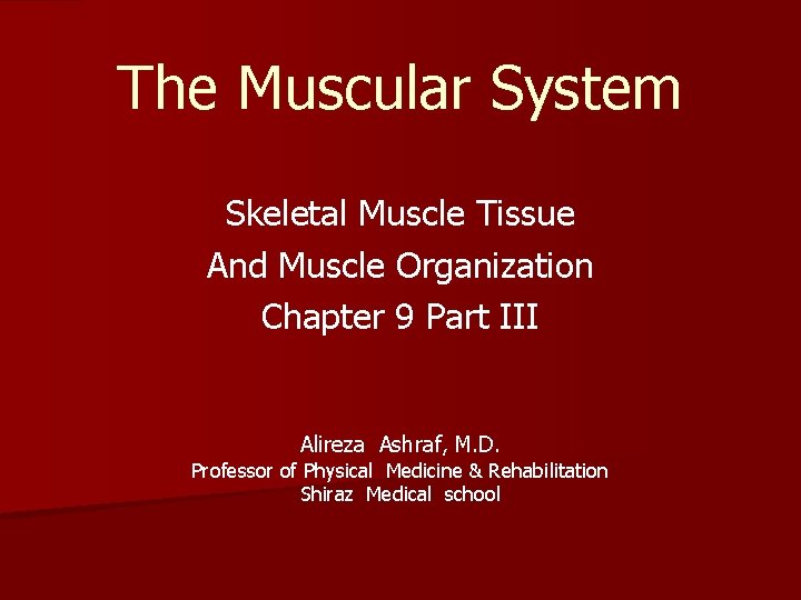 The Muscular System Skeletal Muscle Tissue And Muscle Organization Chapter 9 Part III Alireza
