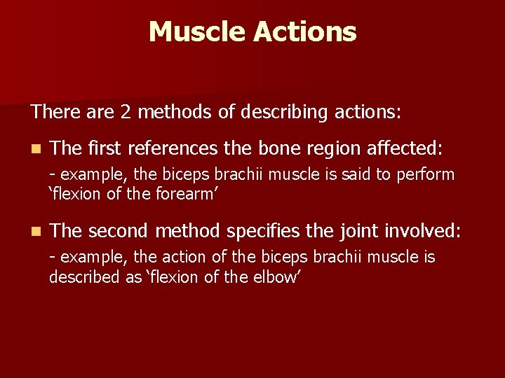 Muscle Actions There are 2 methods of describing actions: n The first references the