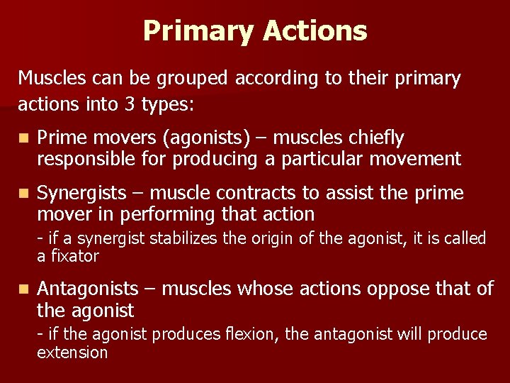 Primary Actions Muscles can be grouped according to their primary actions into 3 types: