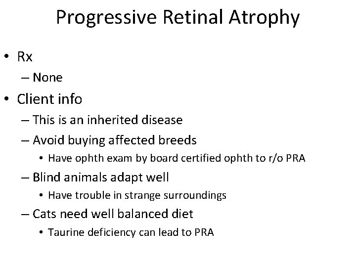 Progressive Retinal Atrophy • Rx – None • Client info – This is an
