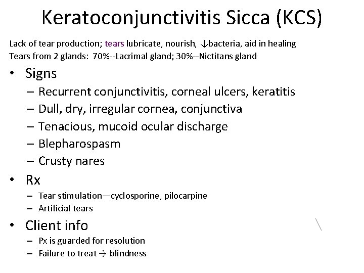 Keratoconjunctivitis Sicca (KCS) Lack of tear production; tears lubricate, nourish, ↓bacteria, aid in healing