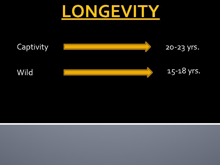 LONGEVITY Captivity 20 -23 yrs. Wild 15 -18 yrs. 