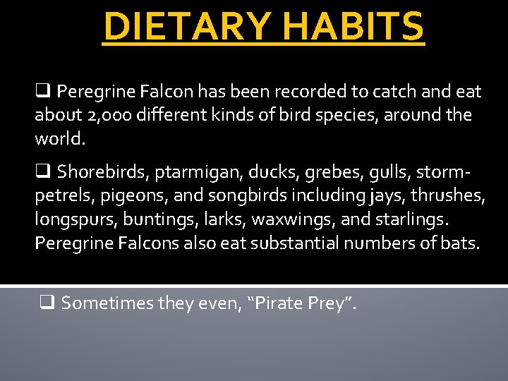 DIETARY HABITS q Peregrine Falcon has been recorded to catch and eat about 2,