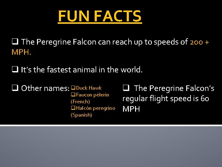 FUN FACTS q The Peregrine Falcon can reach up to speeds of 200 +