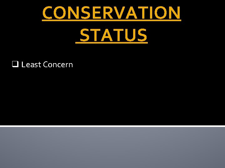 CONSERVATION STATUS q Least Concern 