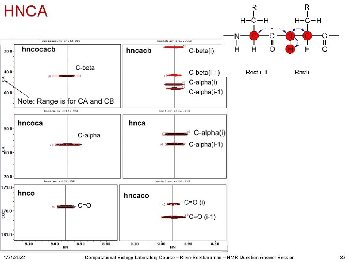HNCA 1/31/2022 Computational Biology Laboratory Course – Klein-Seetharaman – NMR Question Answer Session 33