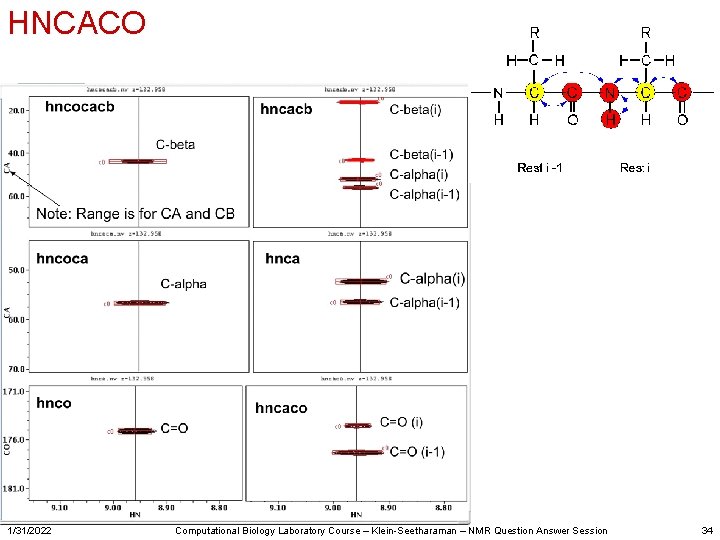 HNCACO 1/31/2022 Computational Biology Laboratory Course – Klein-Seetharaman – NMR Question Answer Session 34