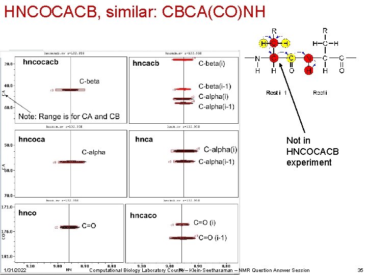 HNCOCACB, similar: CBCA(CO)NH Not in HNCOCACB experiment 1/31/2022 Computational Biology Laboratory Course – Klein-Seetharaman