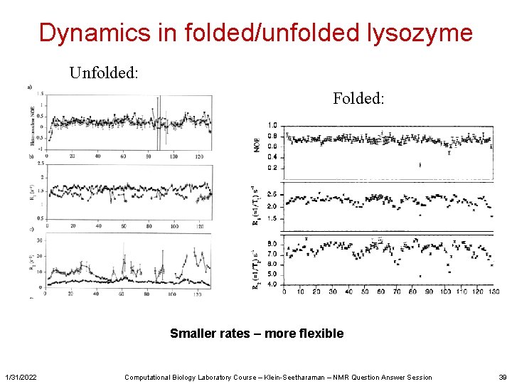 Dynamics in folded/unfolded lysozyme Unfolded: Folded: Smaller rates – more flexible 1/31/2022 Computational Biology