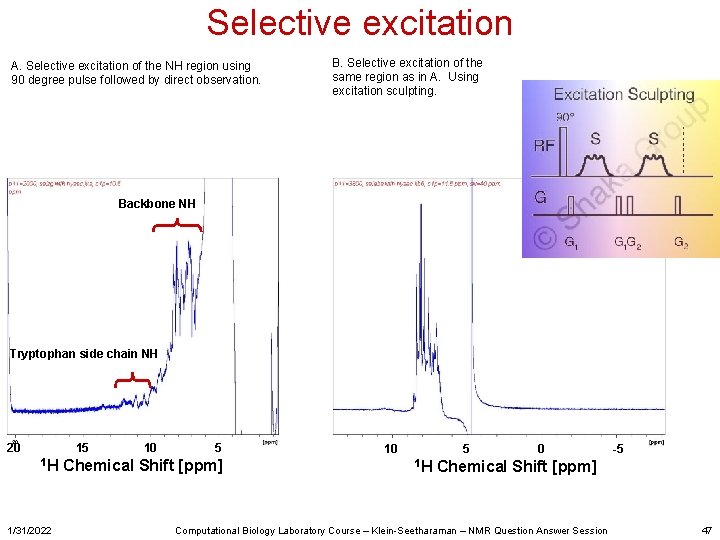 Selective excitation A. Selective excitation of the NH region using 90 degree pulse followed