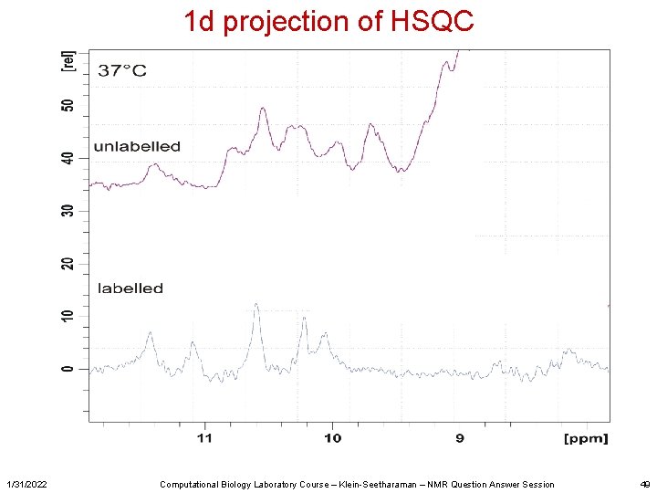 1 d projection of HSQC 1/31/2022 Computational Biology Laboratory Course – Klein-Seetharaman – NMR