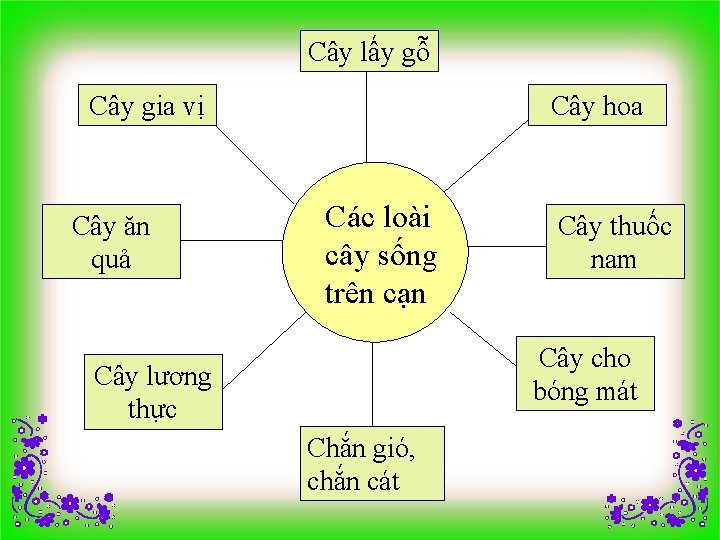 Cây lấy gỗ Cây gia vị Cây ăn quả Cây hoa Các loài cây