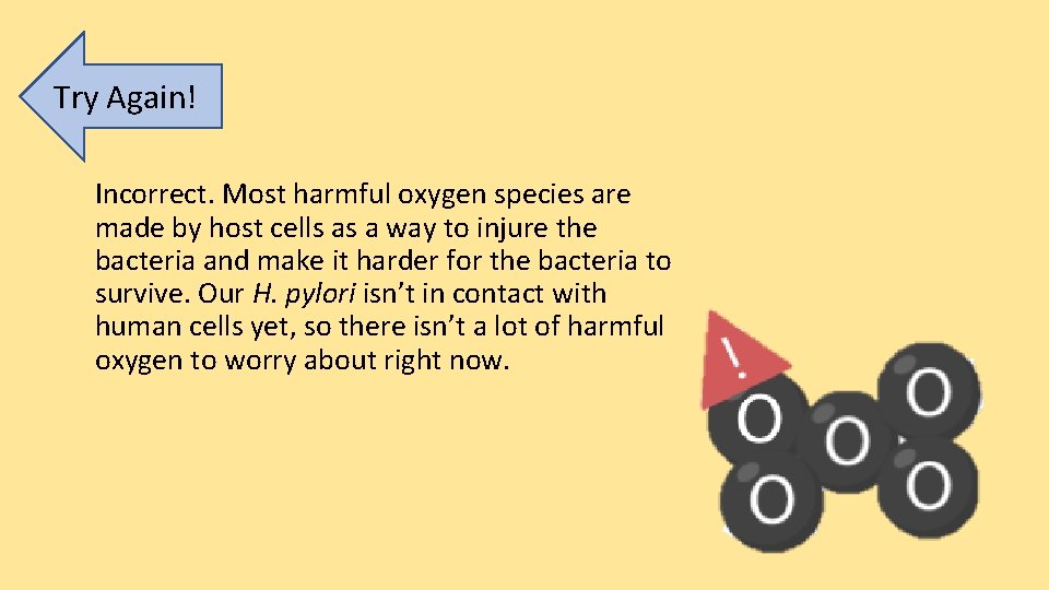 Try Again! Incorrect. Most harmful oxygen species are made by host cells as a