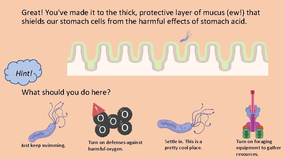 Great! You've made it to the thick, protective layer of mucus (ew!) that shields