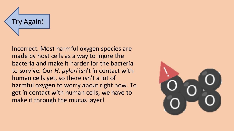 Try Again! Incorrect. Most harmful oxygen species are made by host cells as a