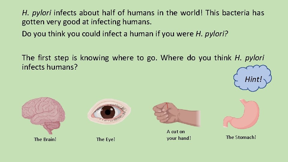 H. pylori infects about half of humans in the world! This bacteria has gotten