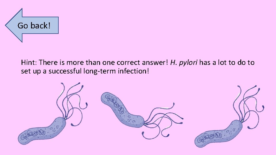 Go back! Hint: There is more than one correct answer! H. pylori has a