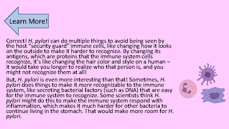 Learn More! Correct! H. pylori can do multiple things to avoid being seen by