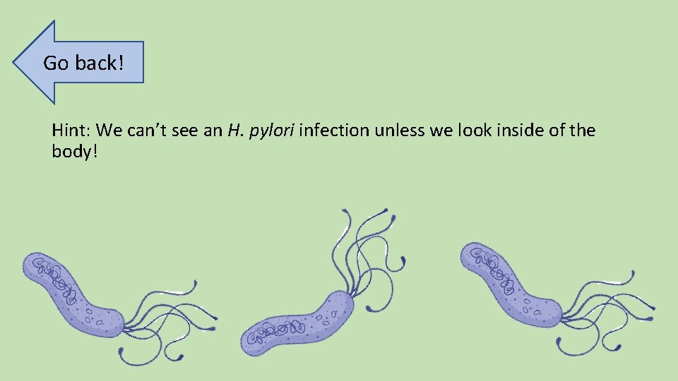 Go back! Hint: We can’t see an H. pylori infection unless we look inside