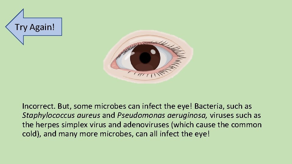 Try Again! Incorrect. But, some microbes can infect the eye! Bacteria, such as Staphylococcus