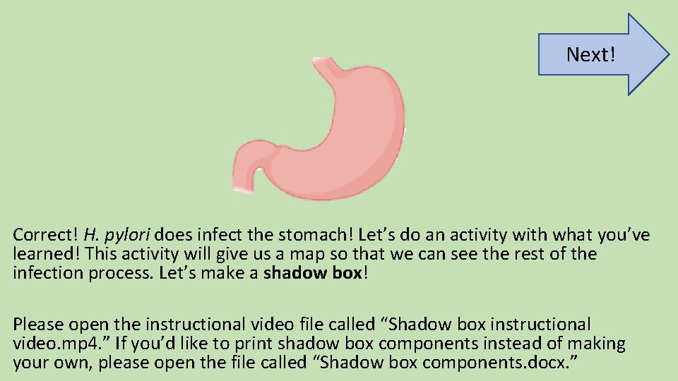 Next! Correct! H. pylori does infect the stomach! Let’s do an activity with what