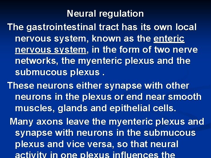 Neural regulation The gastrointestinal tract has its own local nervous system, known as the