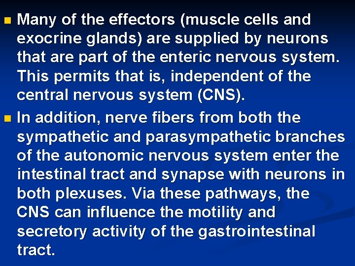 Many of the effectors (muscle cells and exocrine glands) are supplied by neurons that