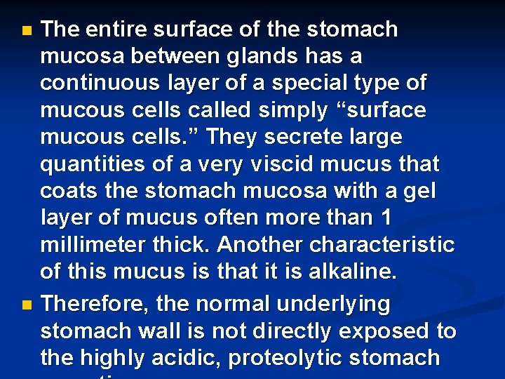 The entire surface of the stomach mucosa between glands has a continuous layer of