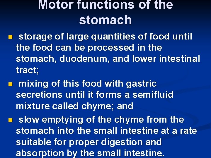 Motor functions of the stomach storage of large quantities of food until the food