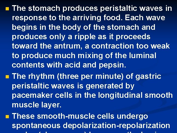 n n n The stomach produces peristaltic waves in response to the arriving food.