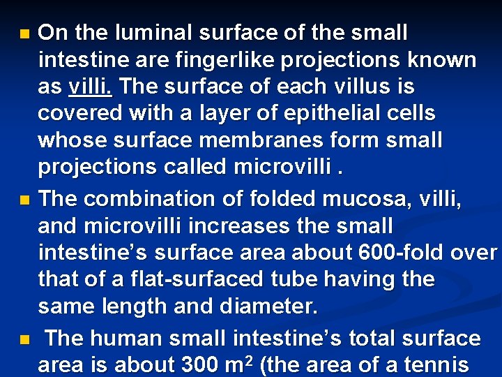 On the luminal surface of the small intestine are fingerlike projections known as villi.