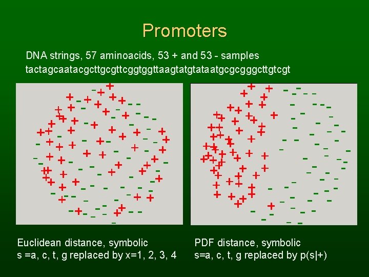 Promoters DNA strings, 57 aminoacids, 53 + and 53 - samples tactagcaatacgcttgcgttcggtggttaagtataatgcgcgggcttgtcgt Euclidean distance,