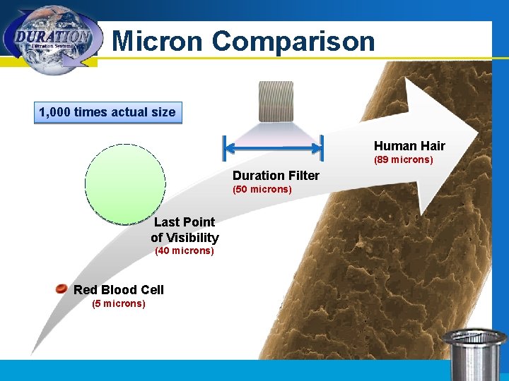 Micron Comparison 1, 000 times actual size Human Hair (89 microns) Duration Filter (50