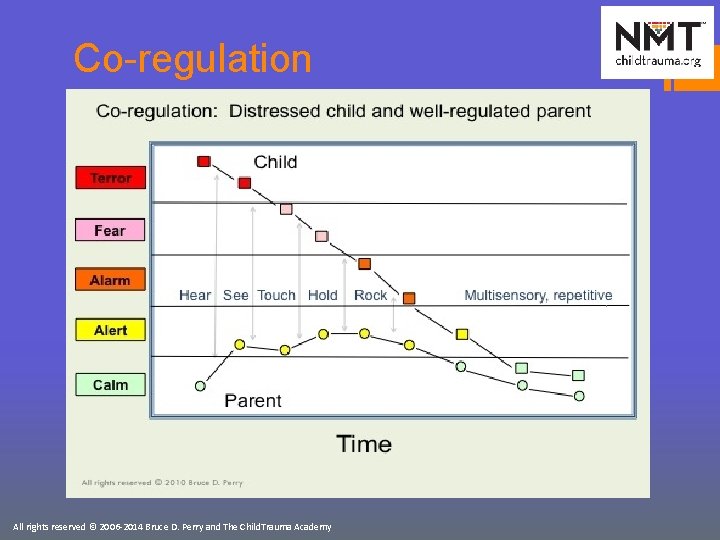 Co-regulation All rights reserved © 2006 -2014 Bruce D. Perry and The Child. Trauma