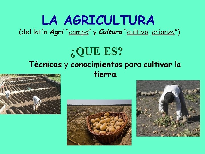 LA AGRICULTURA (del latín Agri “campo” y Cultura “cultivo, crianza”) ¿QUE ES? Técnicas y