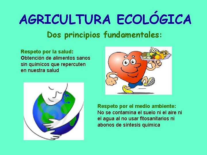 AGRICULTURA ECOLÓGICA Dos principios fundamentales: Respeto por la salud: Obtención de alimentos sanos sin