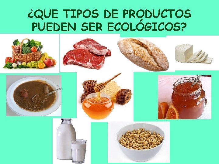 ¿QUE TIPOS DE PRODUCTOS PUEDEN SER ECOLÓGICOS? 