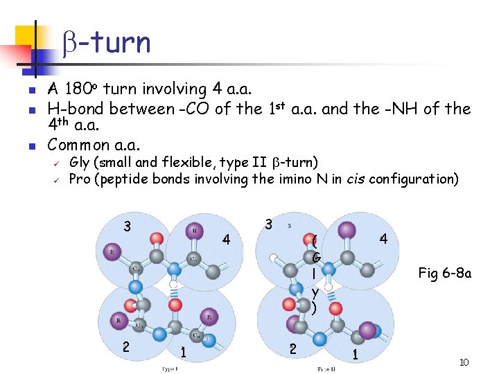 b-turn n A 180 o turn involving 4 a. a. H-bond between -CO of