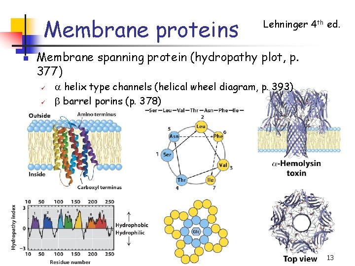 Membrane proteins n Lehninger 4 th ed. Membrane spanning protein (hydropathy plot, p. 377)