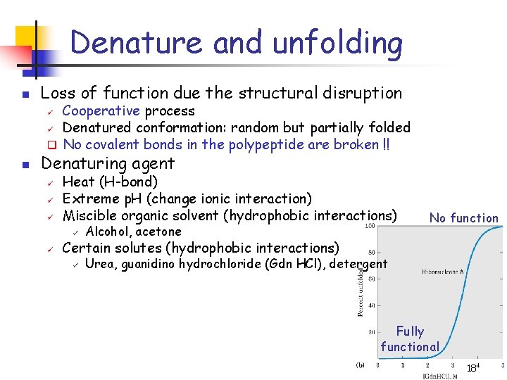 Denature and unfolding n Loss of function due the structural disruption Cooperative process ü